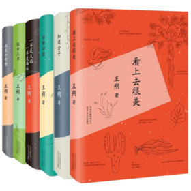 王朔作品集套装6册