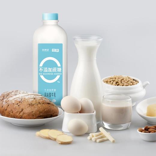 新希望 华西 零蔗糖 原味 风味酸牛奶 1.2kg（瓶） 商品图3