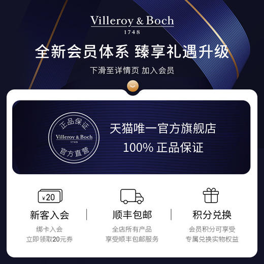 德国唯宝/villeroyboch 新经典进口骨瓷康图马克杯340ML 商品图3