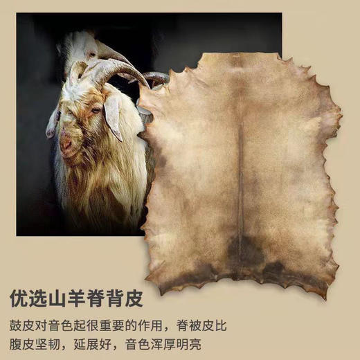 非洲鼓儿童标8寸手鼓便携幼儿园成人初学者入门 商品图2