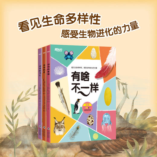 动物的蛋+动物的羽毛+动物的眼睛(共3本)“有啥不一样”系列 选择孩子感兴趣，能充分体现生物进化进程的“蛋羽毛眼睛”三大主题，以此为线索对动物的特点习性生存环境，以及食物和天敌等相关知识展开图文科普 商品图0