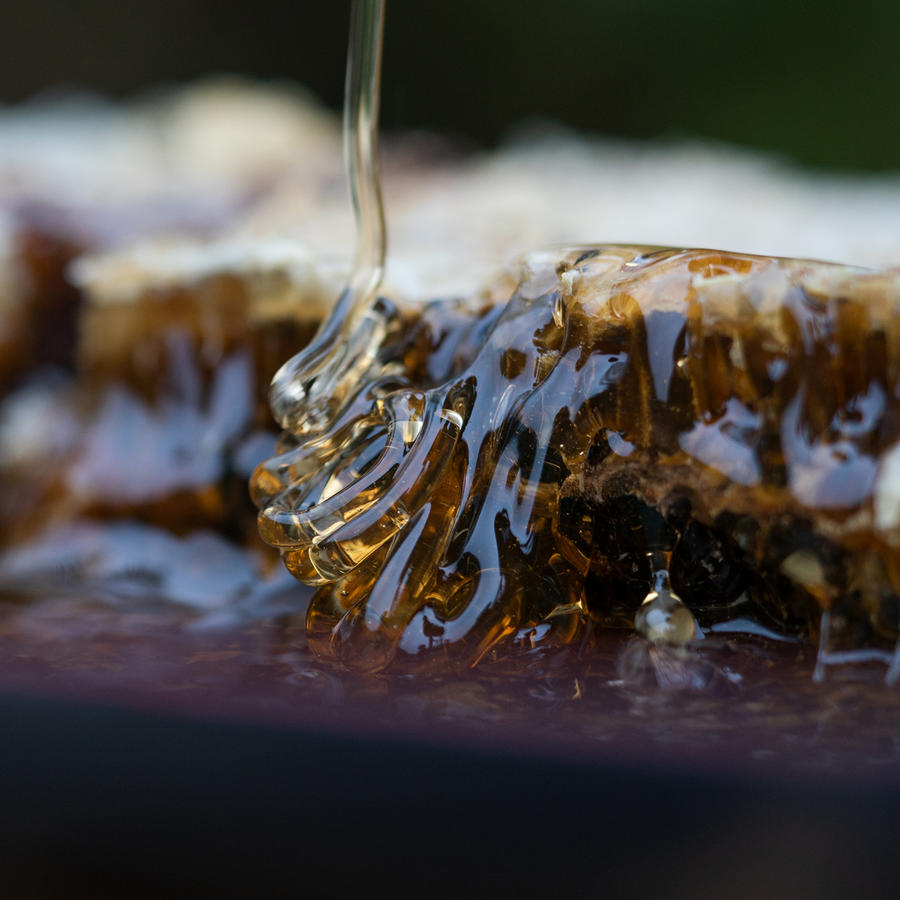 深山里的原生土蜂蜜,稀缺玄参蜜,全省优质奖农家蜜
