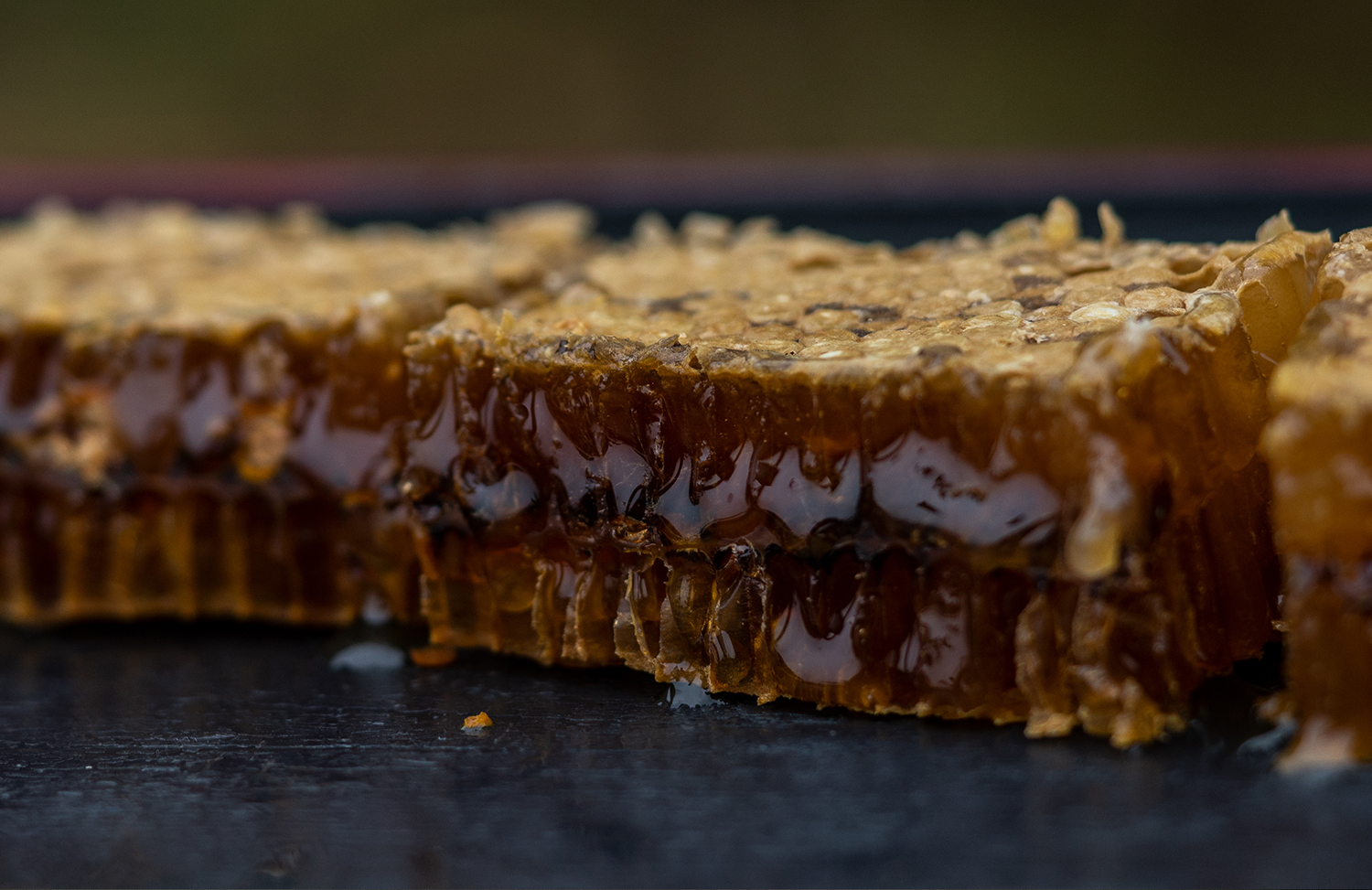 深山里的原生土蜂蜜,稀缺玄参蜜,全省优质奖农家蜜