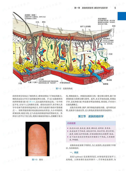 现代皮肤科学 吴志华 主编 皮肤病学书籍 丘疹鳞屑性皮肤病红皮病遗传角化性皮肤病结缔组织病 人民卫生出版社9787117317245 商品图4