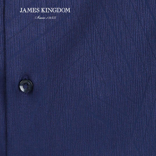 jameskingdom占姆士新品绅士混纺衬衣BA181M28736 商品图1