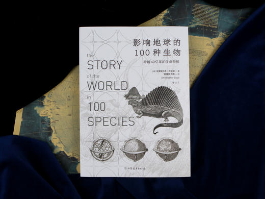 后浪正版 影响地球的100种生物——跨越40亿年的生命阶梯 自然生物演化科普历史书籍 商品图6