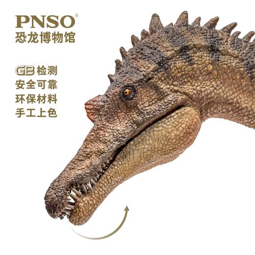 PNSO新版棘龙埃辛恐龙博物馆1:35科学艺术模型 商品图4