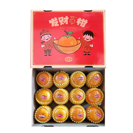 发财沃柑 件装 5kg 商品图0