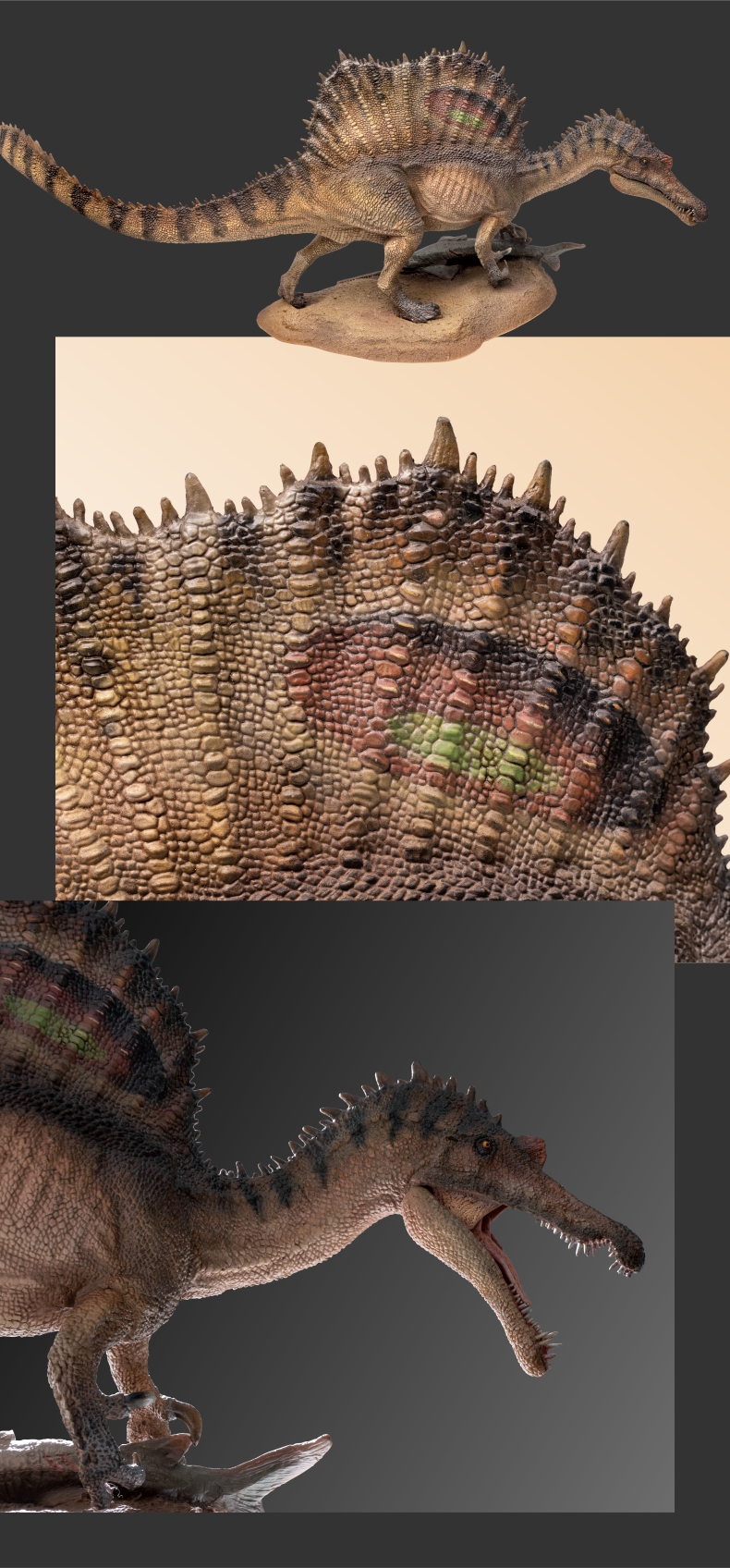 pnso新版棘龙埃辛恐龙博物馆1:35科学艺术模型