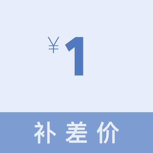 补差价（维辛） 商品图0