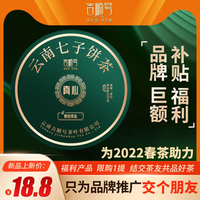 12款性价比极高的日常口粮茶推荐~建议收藏！