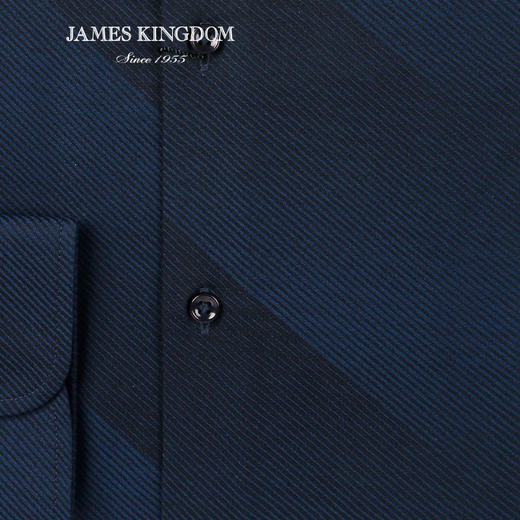 jameskingdom占姆士长袖衬衫中青年时尚商务混纺衬衣BA181M28641 商品图2