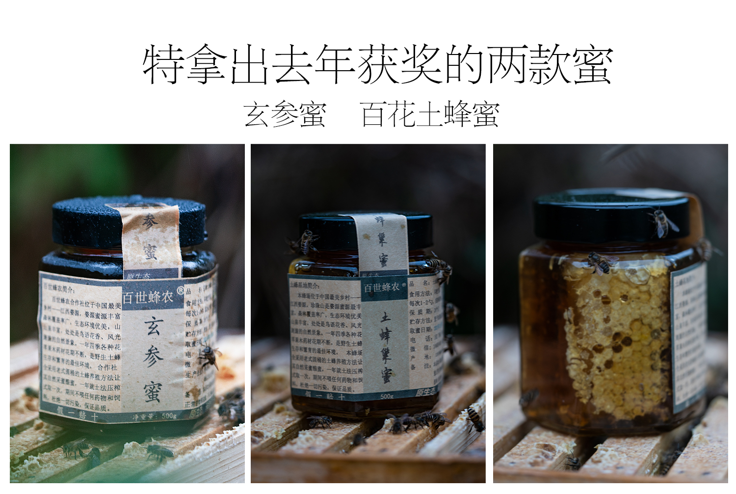 深山里的原生土蜂蜜,稀缺玄参蜜,全省优质奖农家蜜