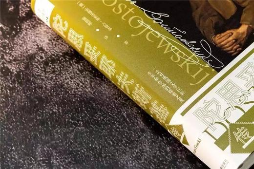 《陀思妥耶夫斯基传》安德里亚斯·古斯基 一次对俄国文学巨匠生平与作品的探索之旅 商品图2