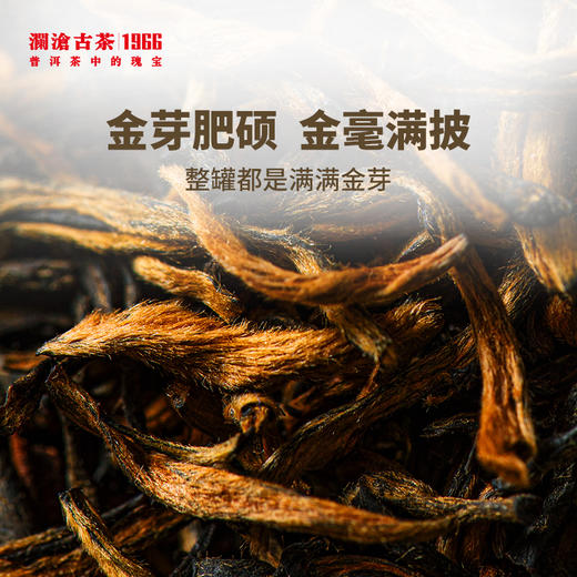 【积分兑换】澜沧古茶2021年茶妈妈金丝红红茶滇红高山红茶100g 商品图2