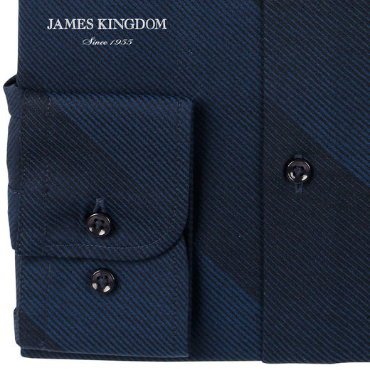 jameskingdom占姆士长袖衬衫中青年时尚商务混纺衬衣BA181M28641 商品图4