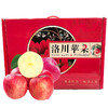 【洛川通货果】陕西洛川苹果水果新鲜12枚礼盒装延安洛川红富士苹果 商品缩略图6