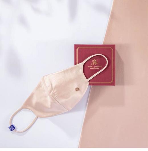 百货世界-美克美家-Rehome -双面真丝口罩 商品图0