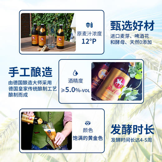 德国皇家精酿小麦啤酒白啤卡尔爵士fuerstcarl白城堡500ml*12瓶 商品图9