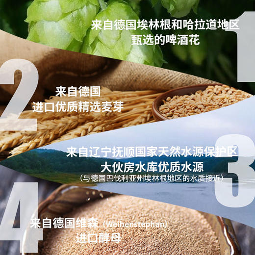 德国皇家精酿小麦啤酒卡尔爵士fuerstcarl红城堡500ml*12瓶 商品图11