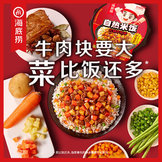 【自热米饭系列】海底捞方便速食米饭 红烧牛肉咖喱牛肉番茄牛腩广式煲仔梅菜扣肉多种口味选 商品图2