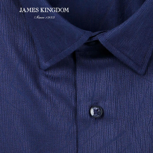 jameskingdom占姆士新品绅士混纺衬衣BA181M28736 商品图4