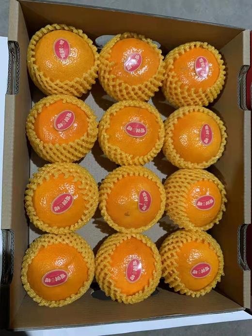 发财沃柑 件装 5kg 商品图1