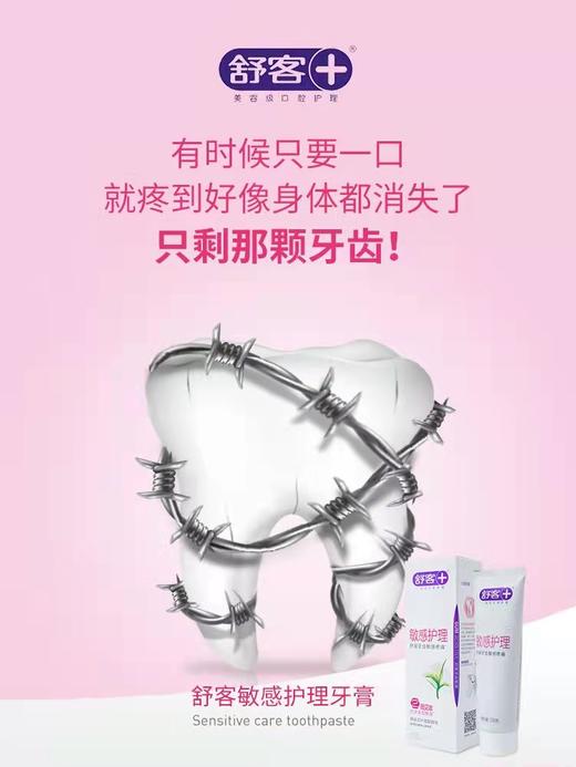 【肖战同款】舒客敏感护理牙膏175g 2支装 冷热酸甜不刺痛（新旧包装随机发货） 商品图2