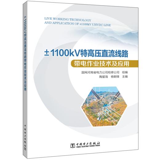 ±1100kV特高压直流线路带电作业技术及应用 商品图0