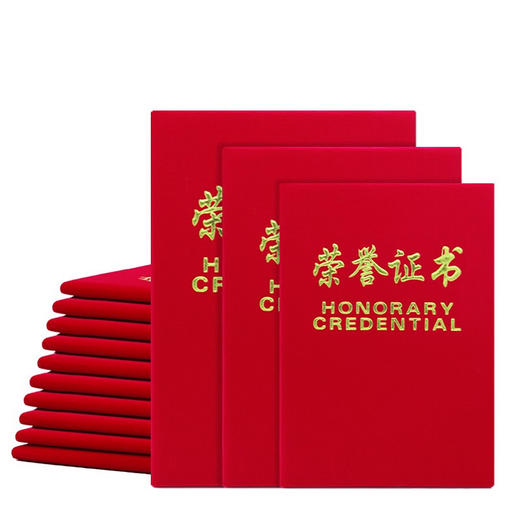绒面荣誉证书 商品图0