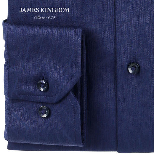 jameskingdom占姆士新品绅士混纺衬衣BA181M28736 商品图3