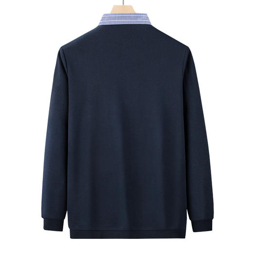 【新款DDA】大依优型大码假两件衬衫男士条纹翻领长袖商务休闲上衣加肥加大胖子 商品图4