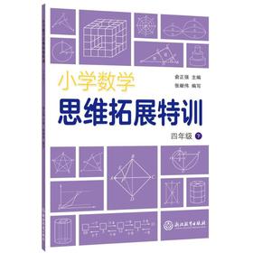 小学数学思维拓展特训 4年级 下 