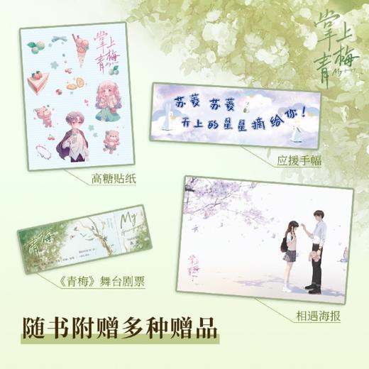 掌上青梅(共2册) 商品图3