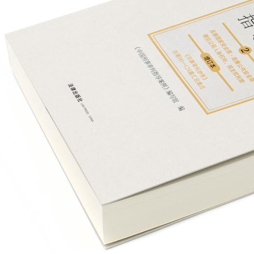 中国刑事审判指导案例(2危害国家安全罪危害公共安全罪侵犯公民人身权利民主权利罪增订本) 商品图2