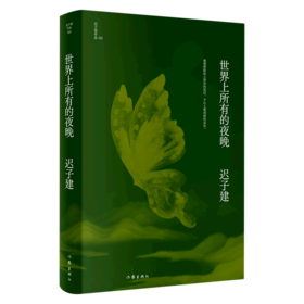 世界上所有的夜晚(精)/迟子建作品