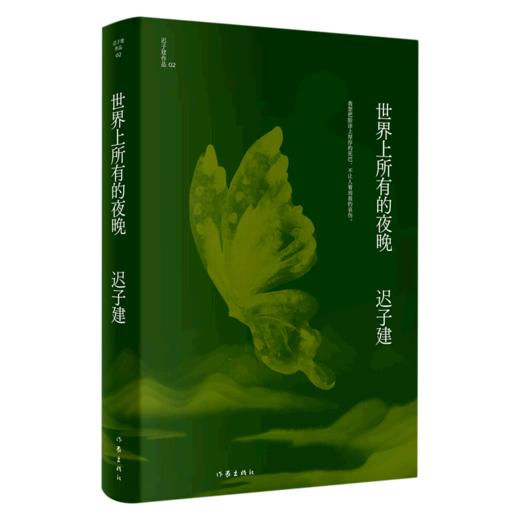 世界上所有的夜晚(精)/迟子建作品 商品图0