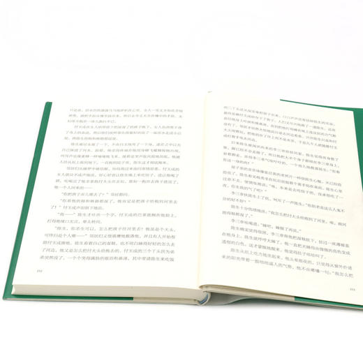 空色林澡屋(精)/迟子建作品 商品图4