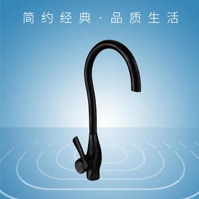 哑光厨房菜盆龙头ST2204