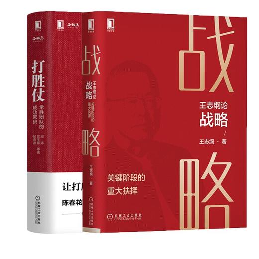 王志纲论战略+打胜仗 商品图0