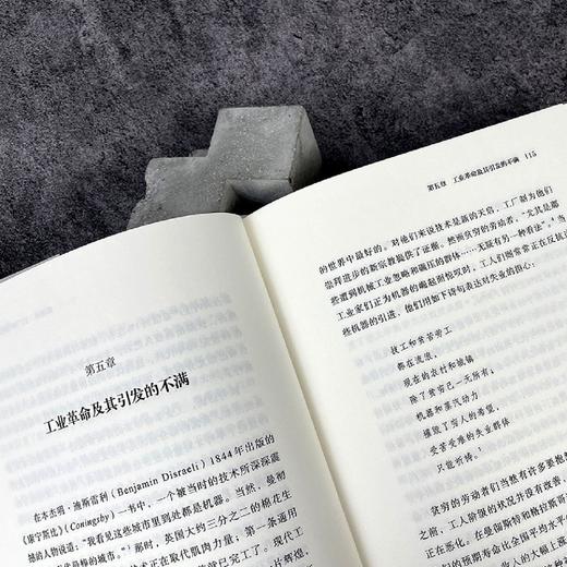 技术陷阱(从工业革命到AI时代技术创新下的资本劳动与权力)(精) 商品图4