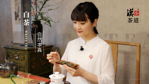 自然本真—白茶之美 商品图0