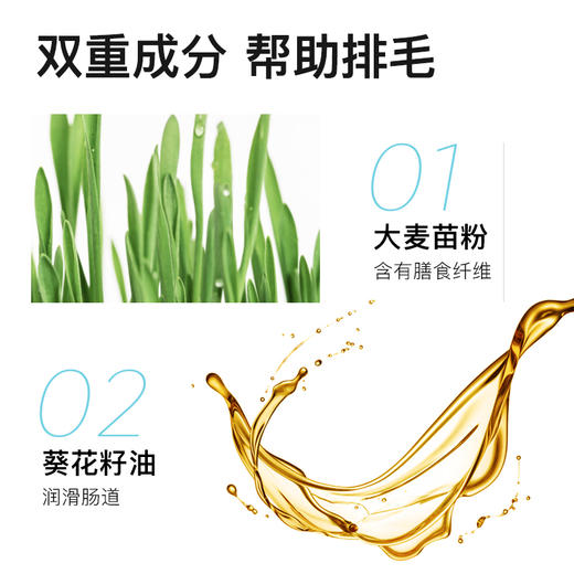 LORDE里兜猫咪零食猫条10g*20条 商品图2