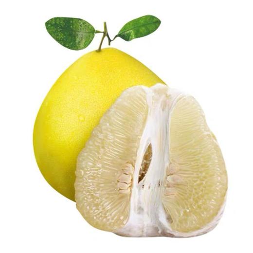 雪峰柚约500g/份【GY】 商品图0