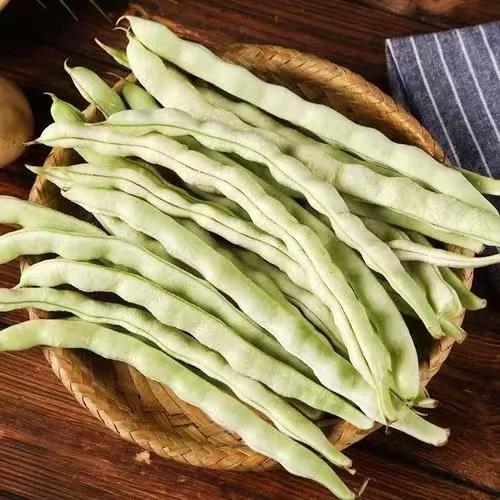 白芸豆480g-520g 商品图0