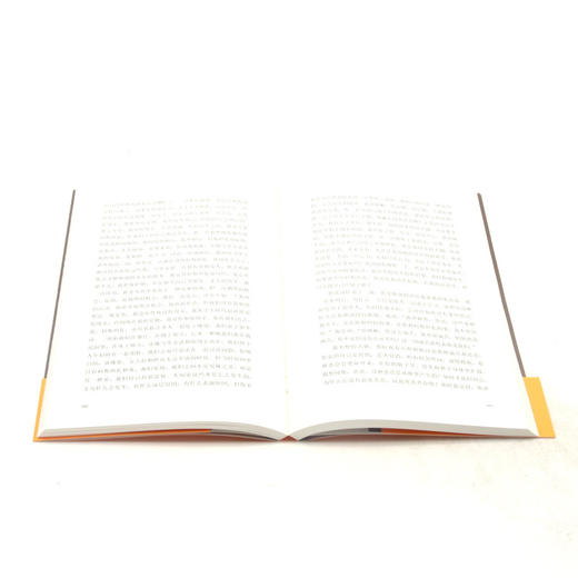 成年人的谎言生活/埃莱娜·费兰特作品系列 商品图4