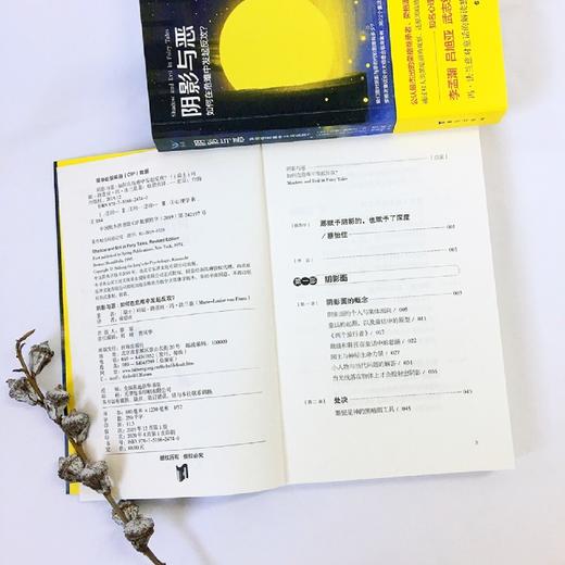 阴影与恶(如何在危难中发起反攻)/从荣格观点探索童话系列 商品图2