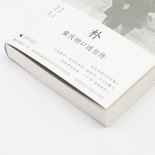 朴(童庆炳口述自传) 商品图2