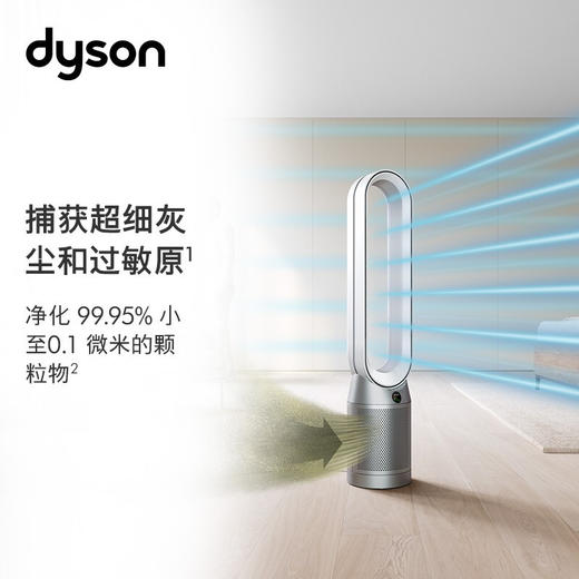 【6F】戴森DYSON TP07空气净化风扇 整机H13密封 净化有害气体 吸附甲醛 【白银色】 商品图0