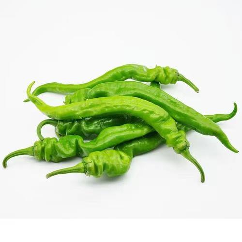 螺丝椒480g-520g 商品图0